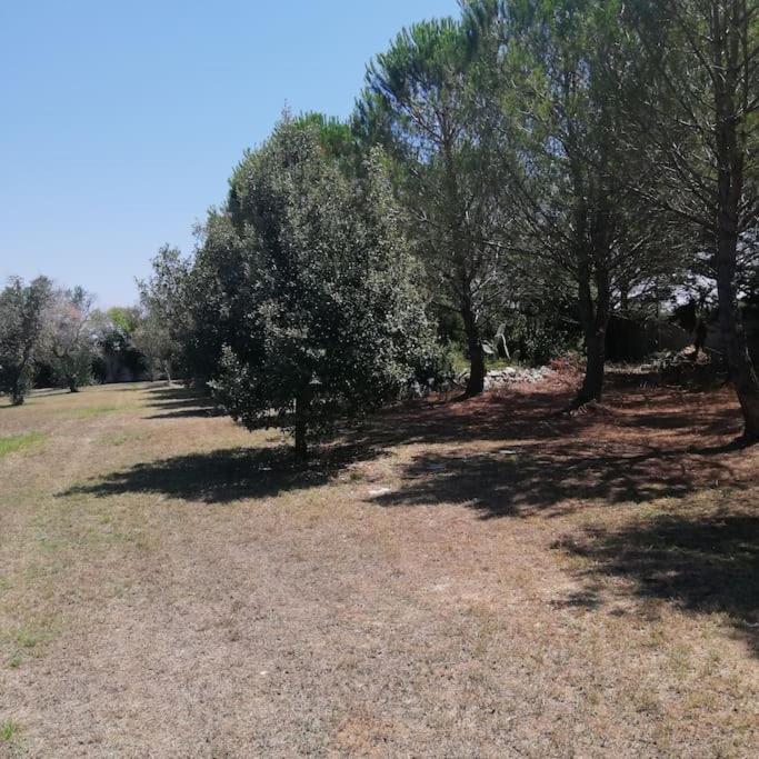 Villa Del Glicine Muro Leccese Exterior foto